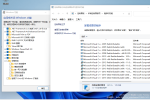 小修Windows11 22000.856专业版