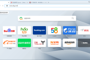 Opera浏览器v90.0.4480.48绿色版