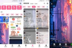 安卓甜心壁纸v4.9.0高级版