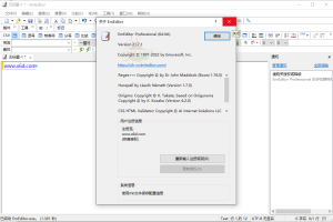 EmEditor v22.0.0便携注册版