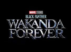 黑豹2 1080P超高清,无删减,在线观看,可下载